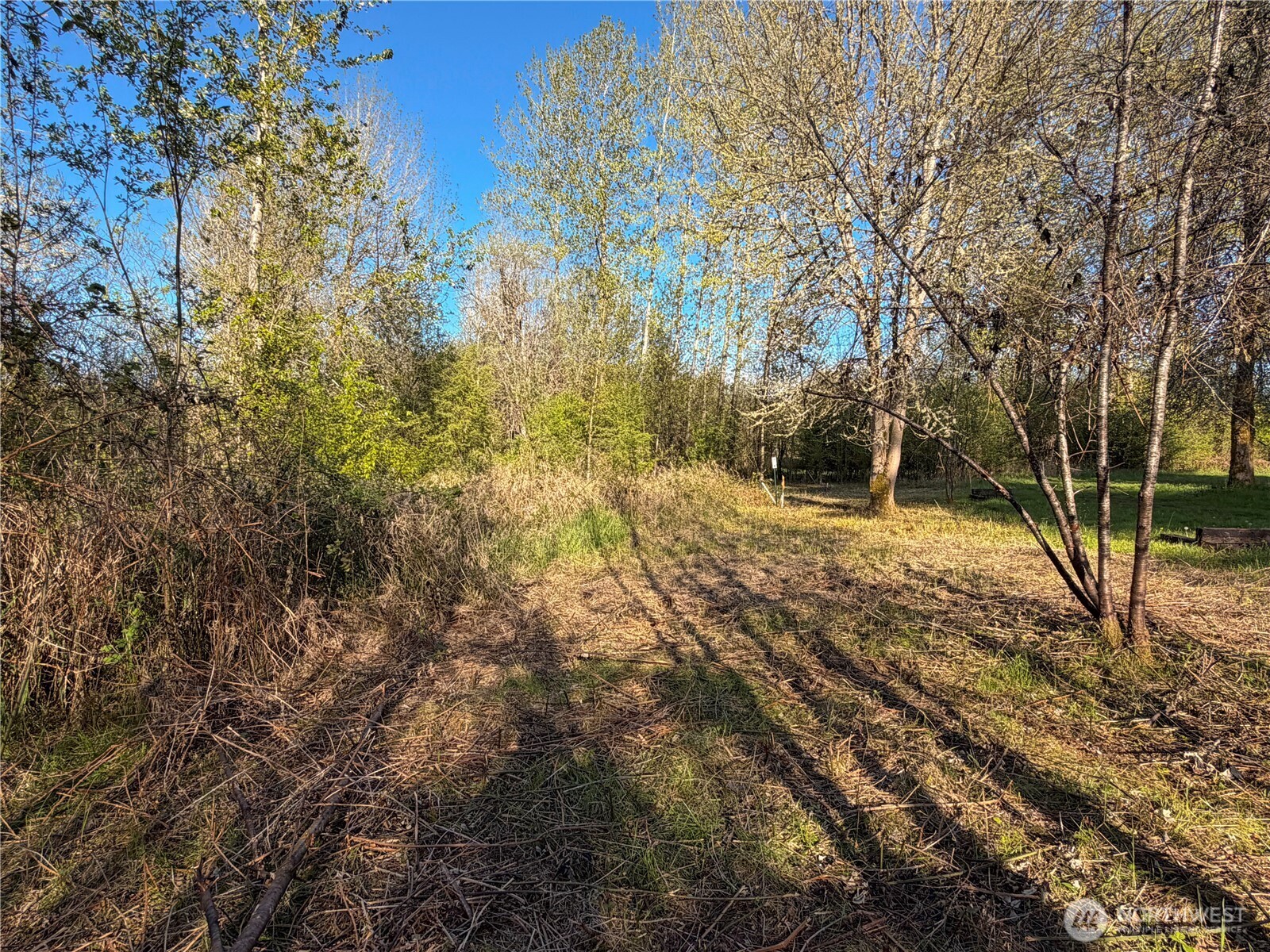 402 A Street Vader WA 98593