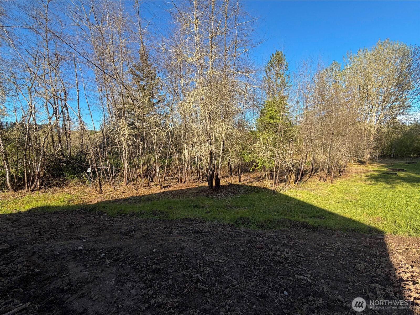 402 A Street Vader WA 98593