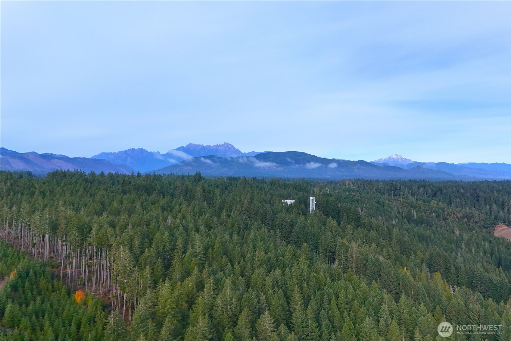 161 N Harvey Terrace Drive Shelton WA 98584