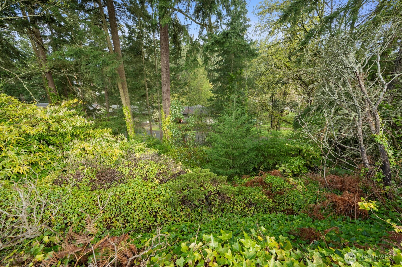 208 N 184th Shoreline WA 98133