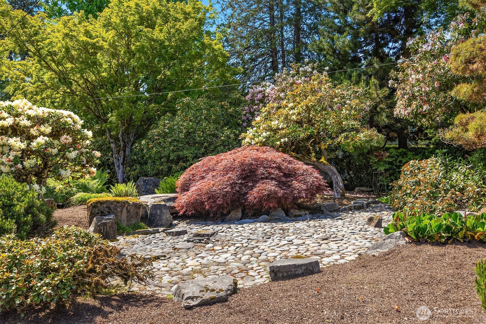 7720 NE 8th Street Medina WA 98039