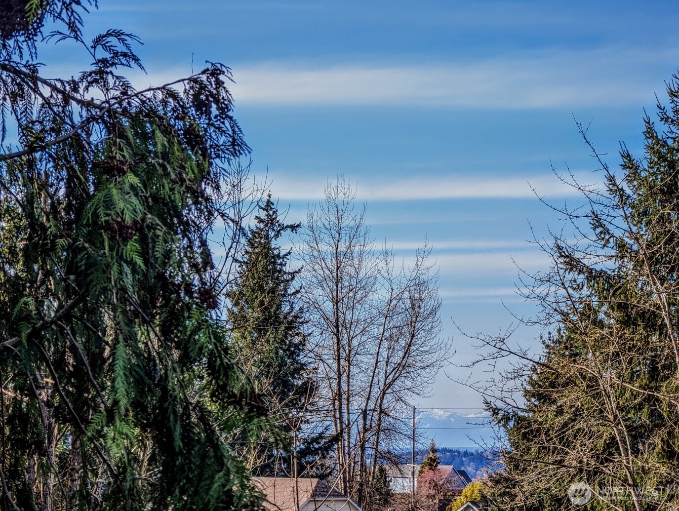 18103 81st Street E Bonney Lake WA 98391