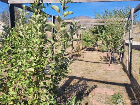 20 Round Up Road Oroville WA 98844