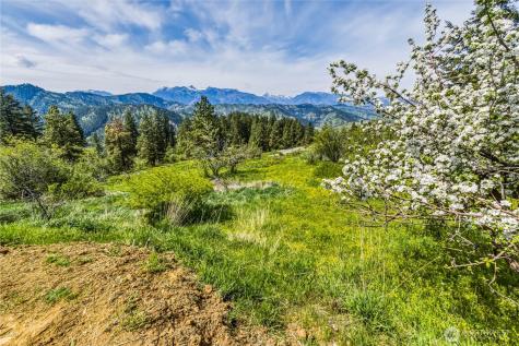 4723 Sky Meadows Road Cashmere WA 98815