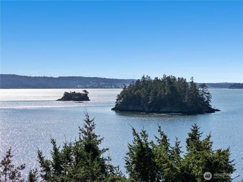 17546 Tonkon View Lane La Conner WA 98257