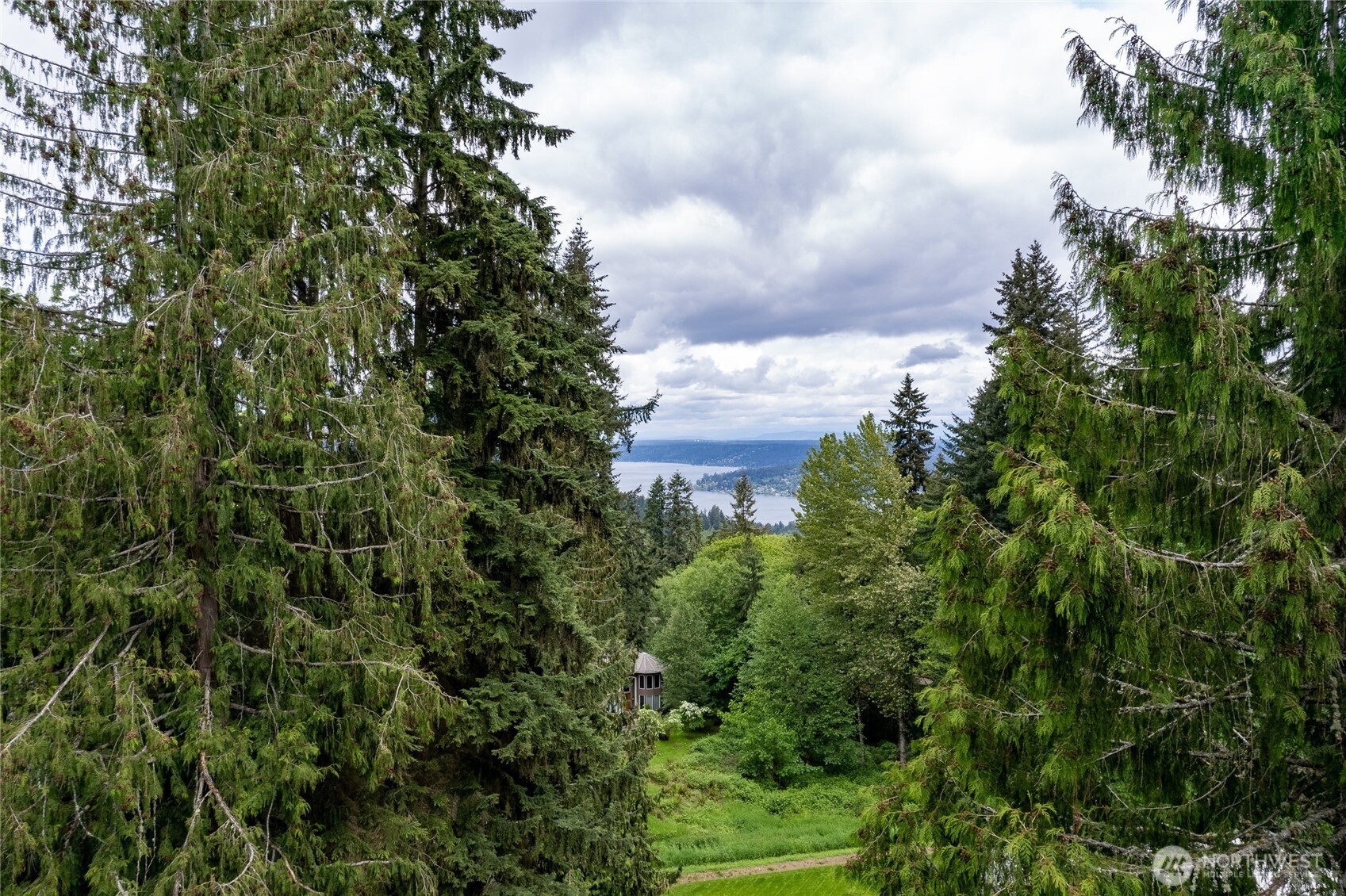 17426 SE 60th Street Bellevue WA 98006