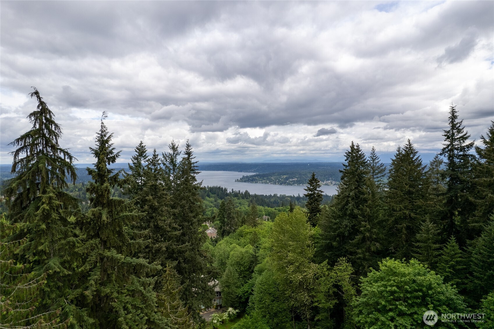 17426 SE 60th Street Bellevue WA 98006