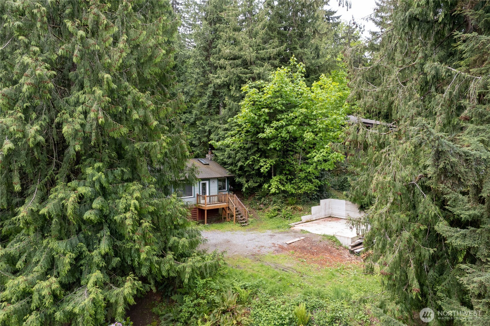 17426 SE 60th Street Bellevue WA 98006