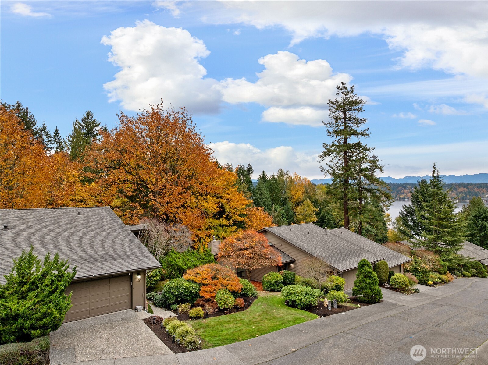 118 168th Avenue NE Bellevue WA 98008