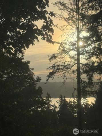 118 168th Avenue NE Bellevue WA 98008