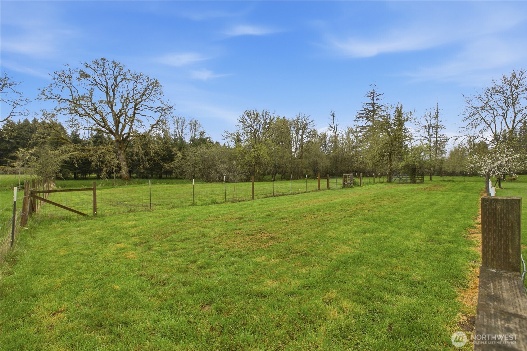 3384 Jackson Highway Chehalis WA 98532