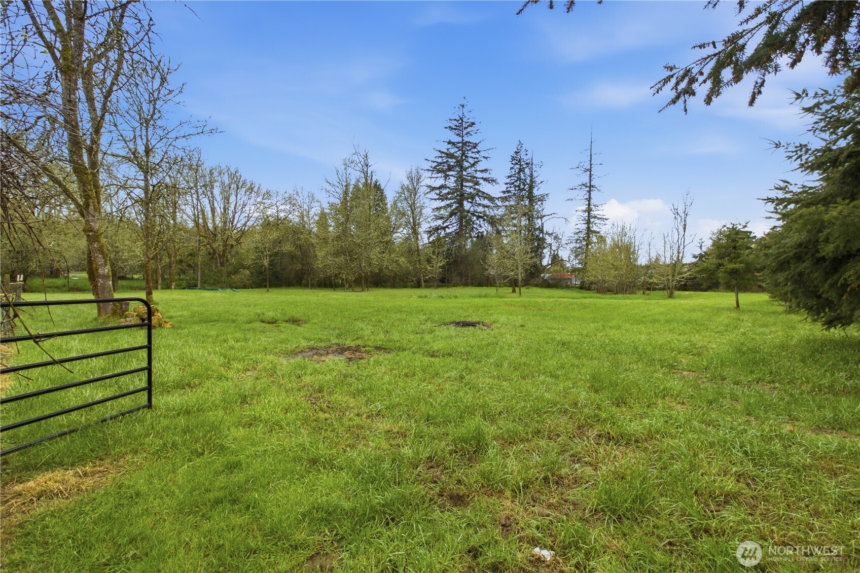 3384 Jackson Highway Chehalis WA 98532