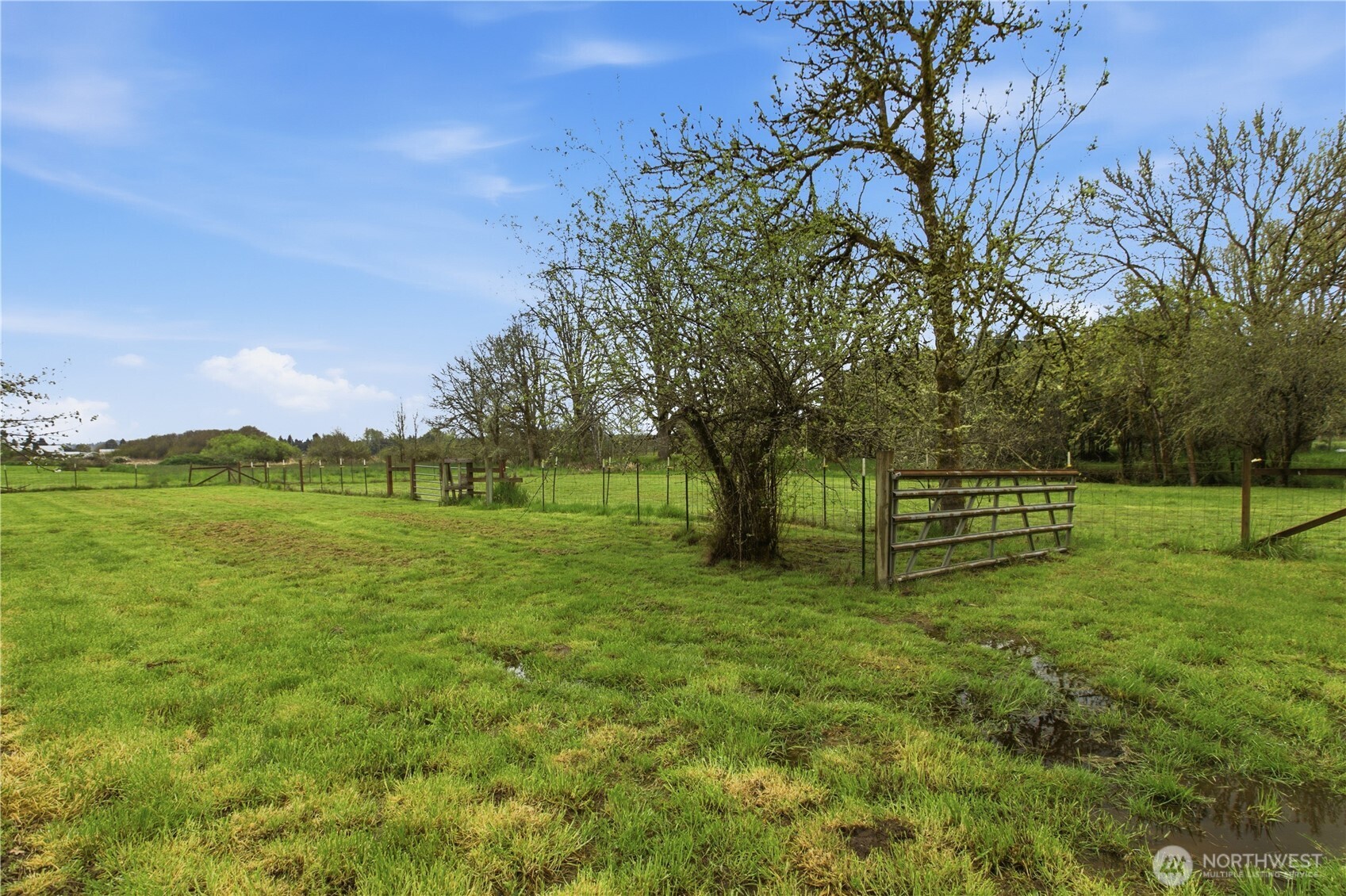 3384 Jackson Highway Chehalis WA 98532