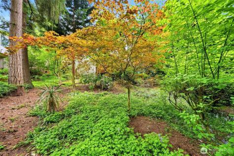 12326 24th Avenue NE Seattle WA 98125