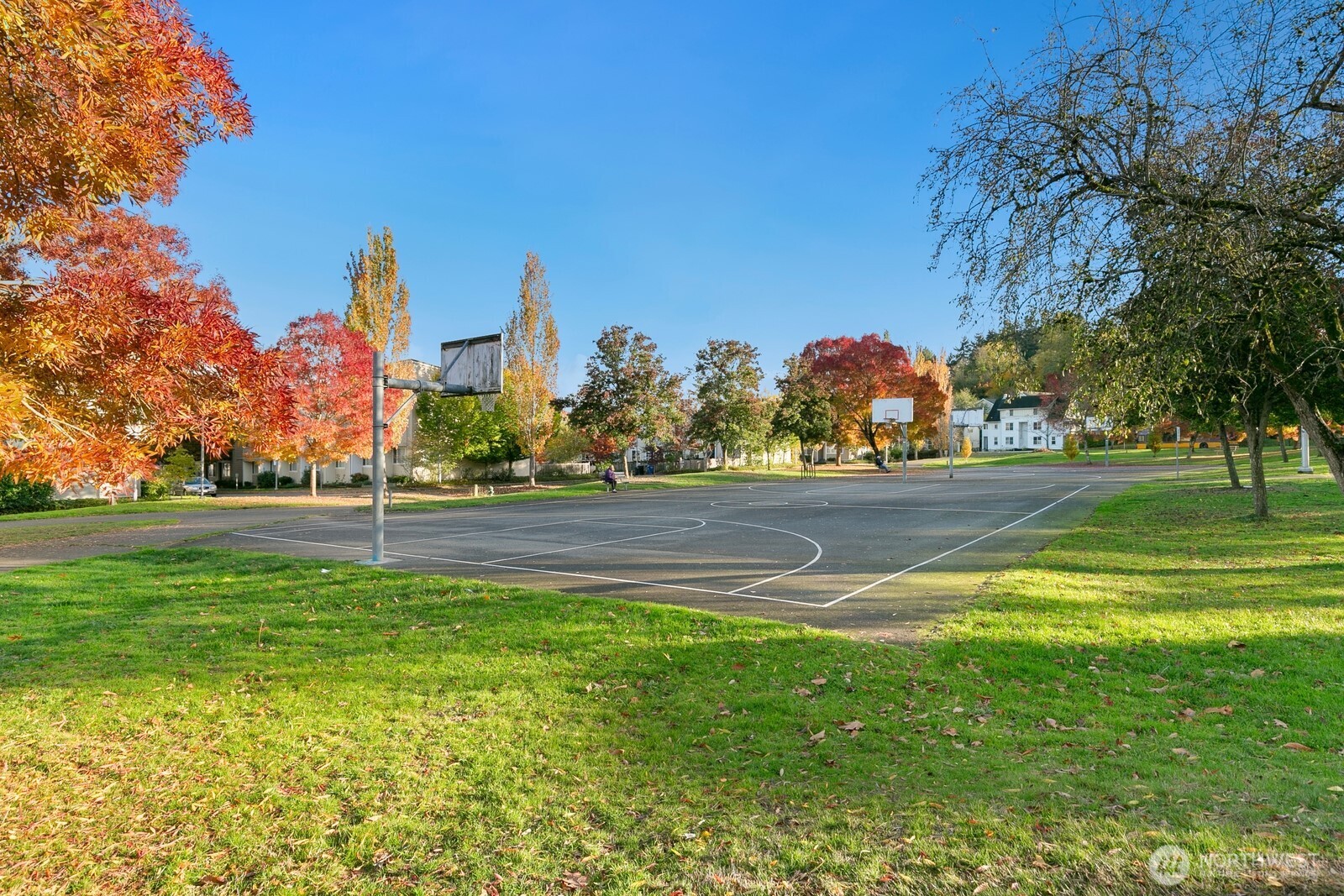 6726 35th Place S Seattle WA 98118