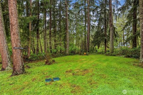 16316 245th Street E Graham WA 98338