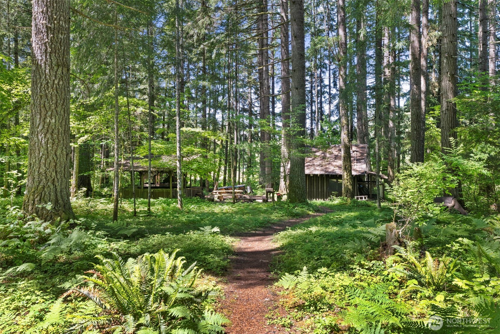 155 Bonell Road Randle WA 98377