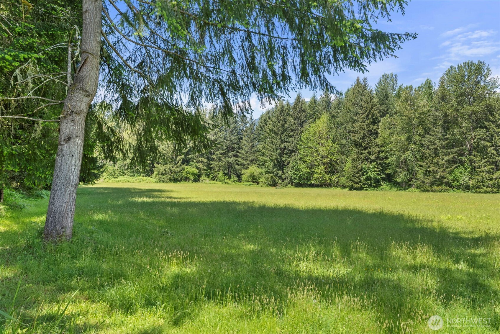 155 Bonell Road Randle WA 98377