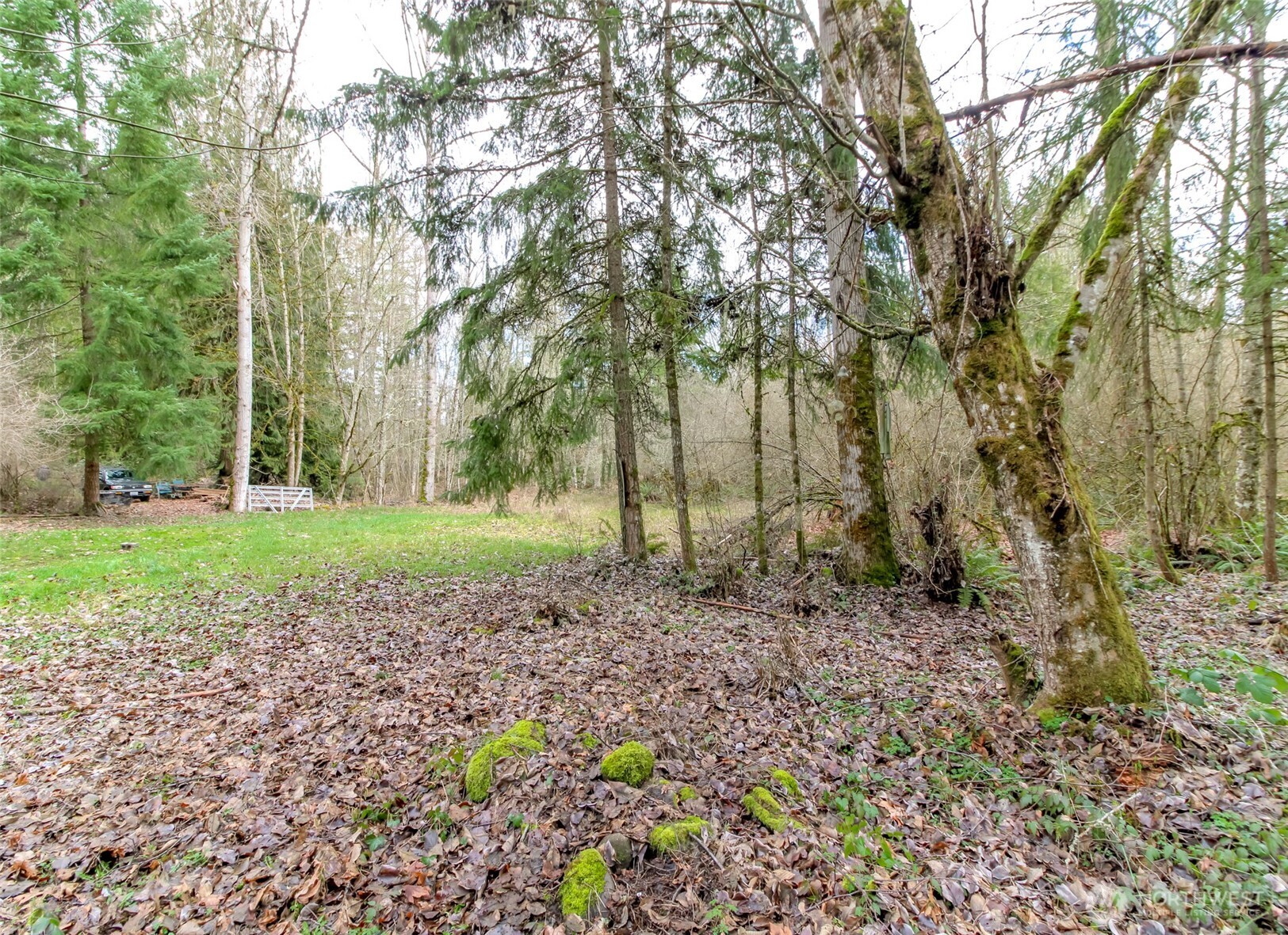 7308 335th Street Court S Roy WA 98580