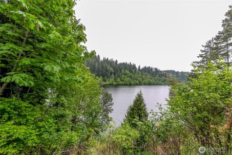 40420 Ski Park Road E Eatonville WA 98328