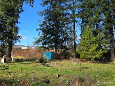 208 Burma Road Castle Rock WA 98611