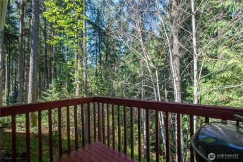 22530 Bluewater Drive SE Yelm WA 98597
