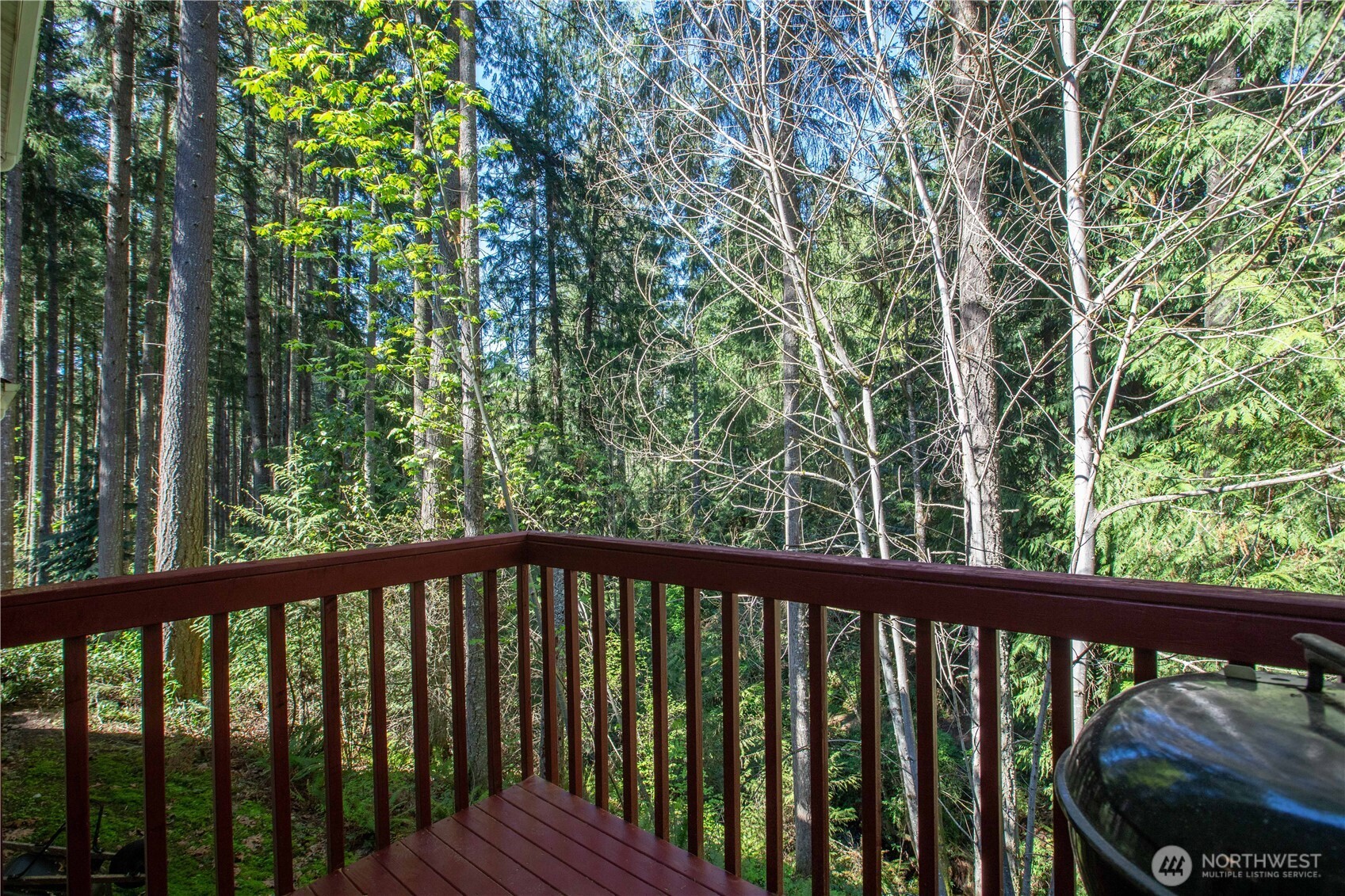 22530 Bluewater Drive SE Yelm WA 98597