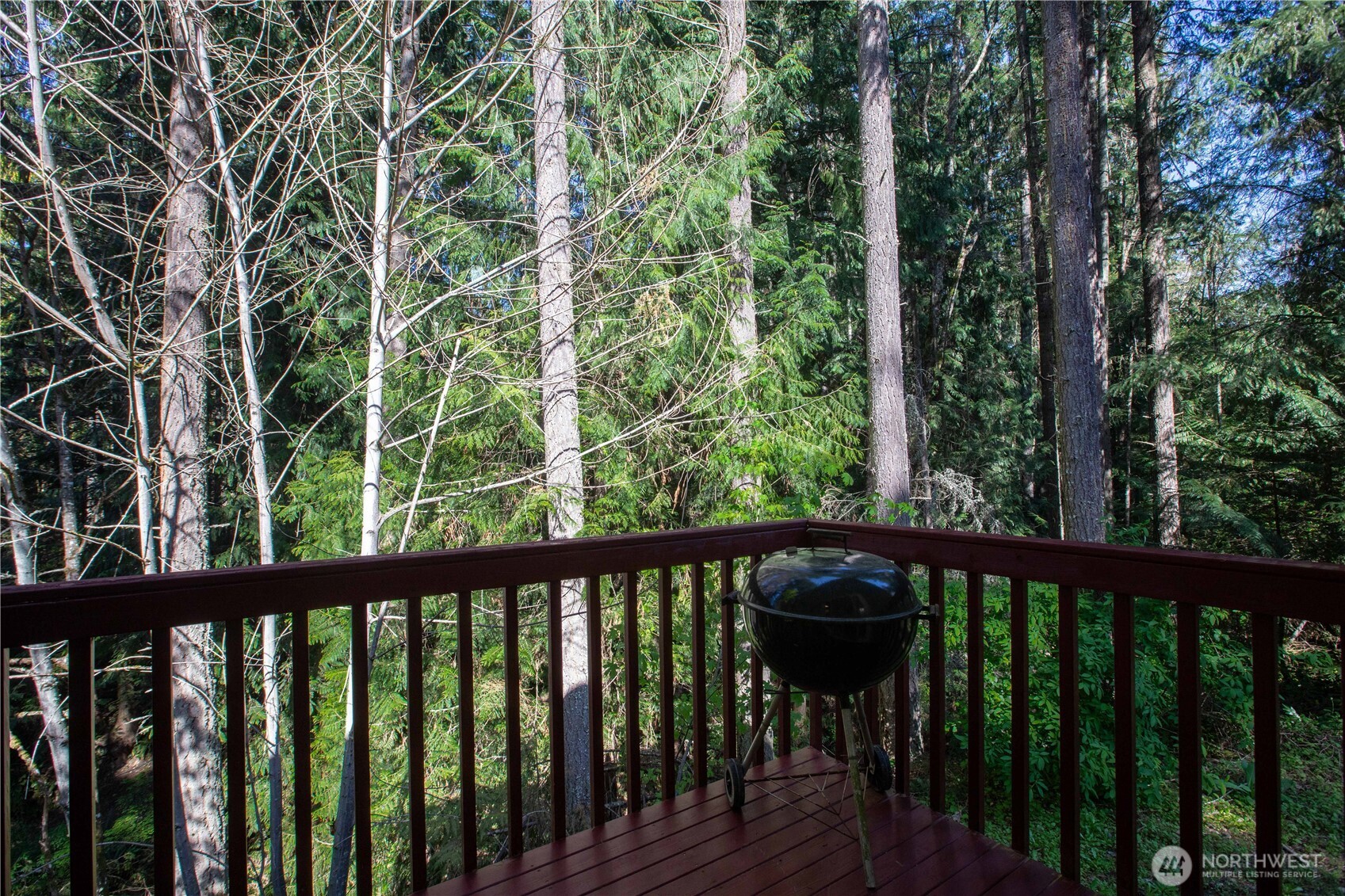 22530 Bluewater Drive SE Yelm WA 98597