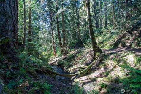 22530 Bluewater Drive SE Yelm WA 98597