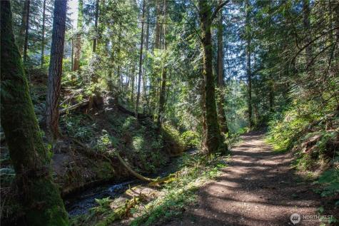 22530 Bluewater Drive SE Yelm WA 98597
