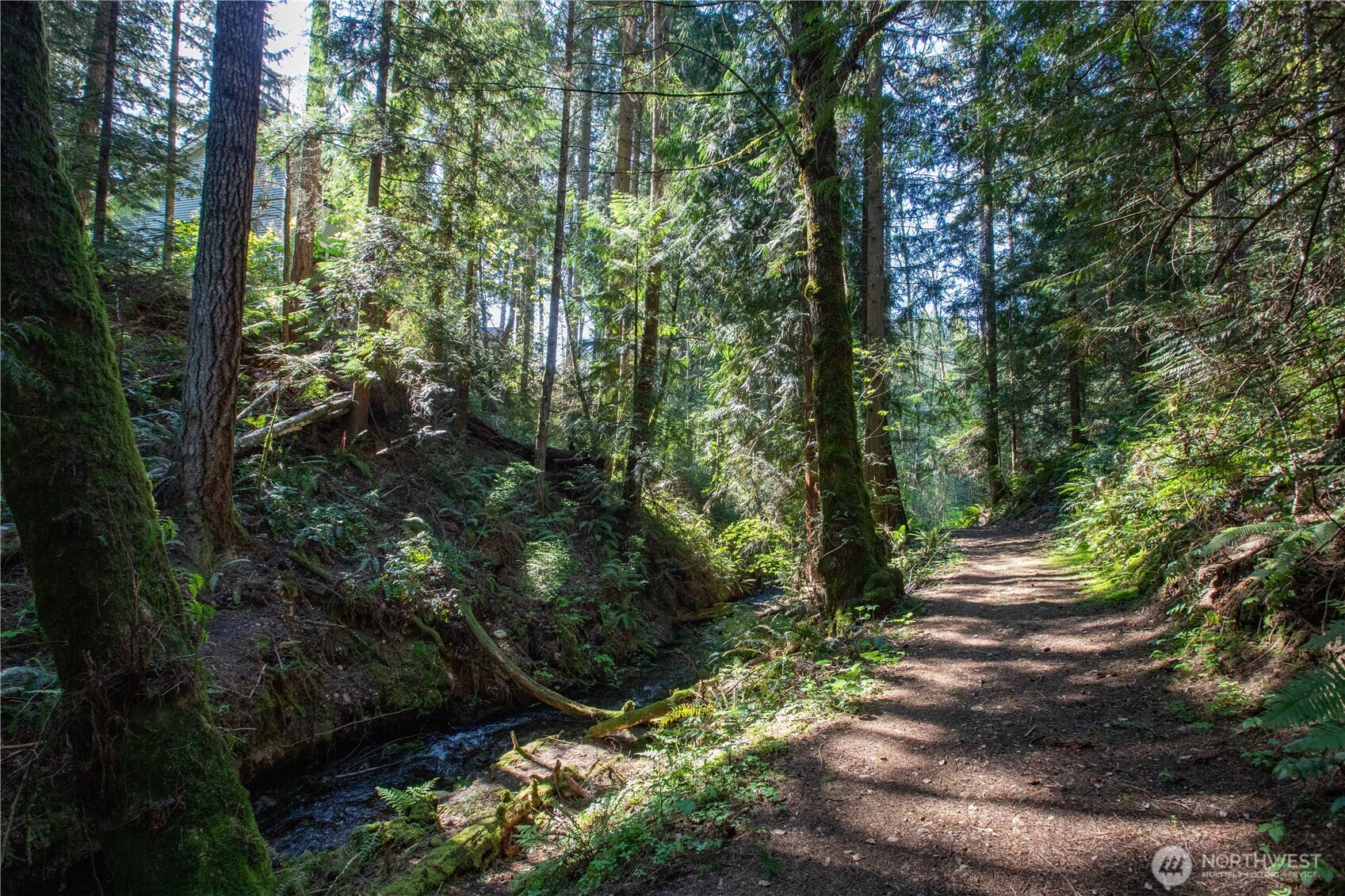22530 Bluewater Drive SE Yelm WA 98597