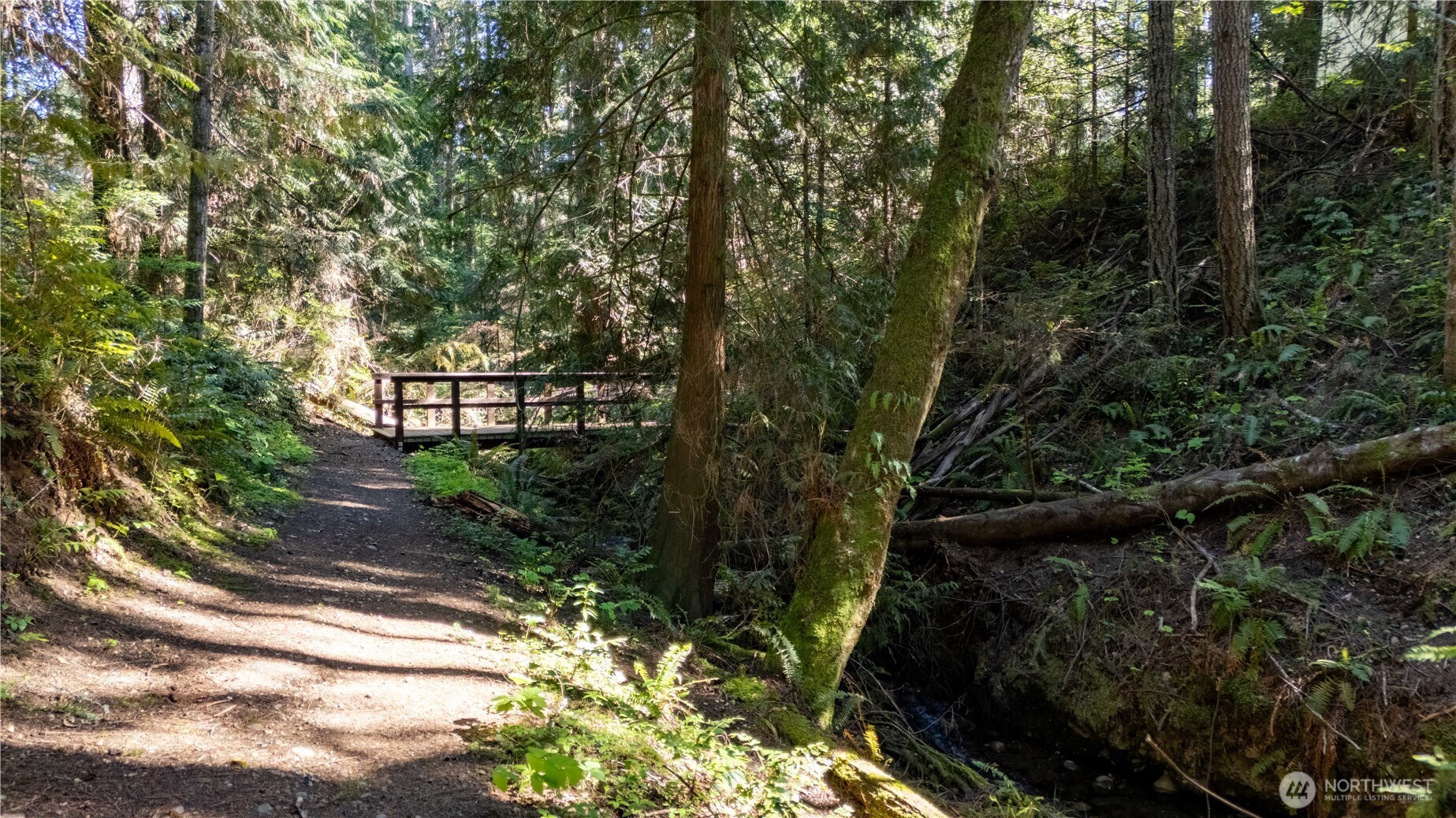 22530 Bluewater Drive SE Yelm WA 98597