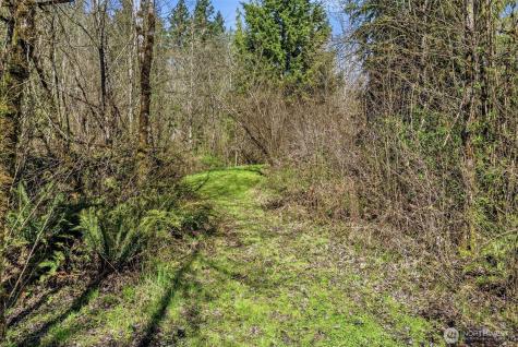 337 Jorgensen Road Onalaska WA 98570