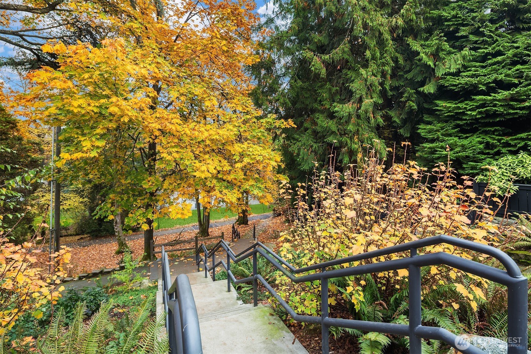 2540 34th Avenue S Seattle WA 98144