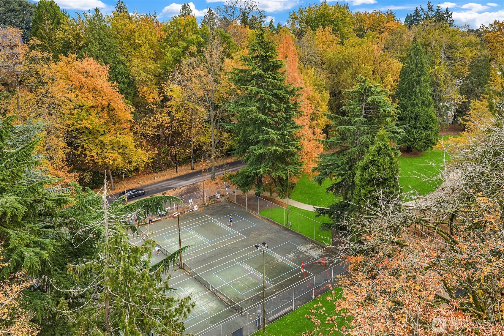 2540 34th Avenue S Seattle WA 98144