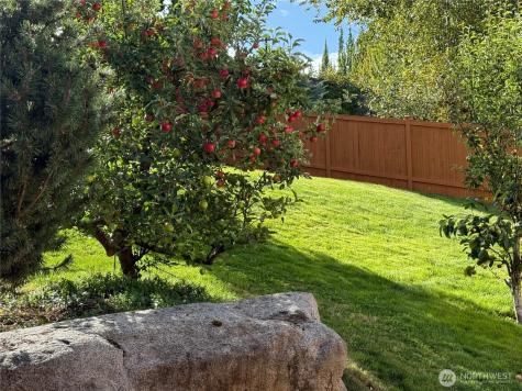 2128 148th Place SW Lynnwood WA 98087