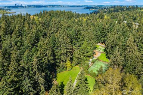 10611 SE 20th Street Bellevue WA 98004