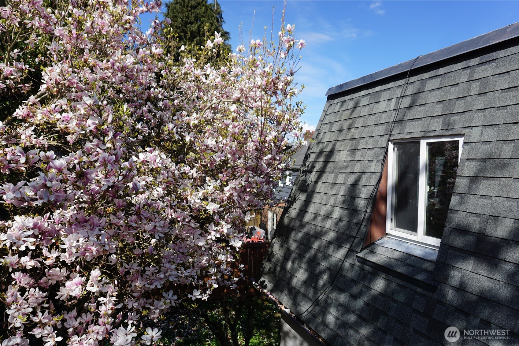 2727 36th Avenue SW Seattle WA 98126