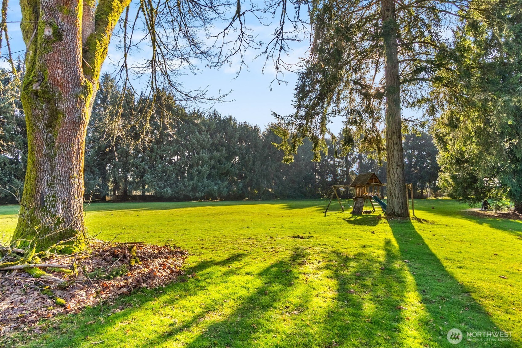 3102 60th Loop SE Olympia WA 98501