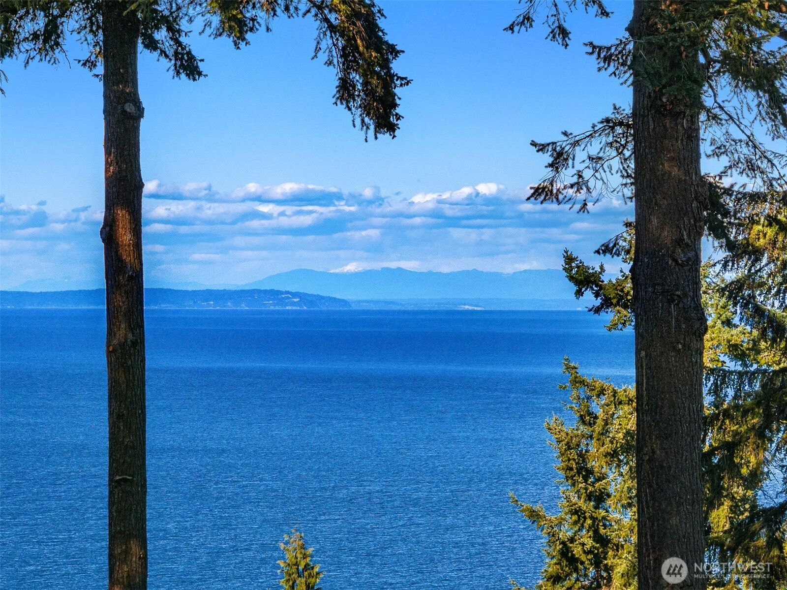 8010 Grand Avenue NE Bainbridge Island WA 98110