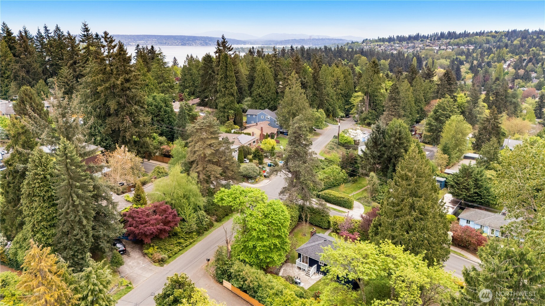 11007 Alton Avenue NE Seattle WA 98125