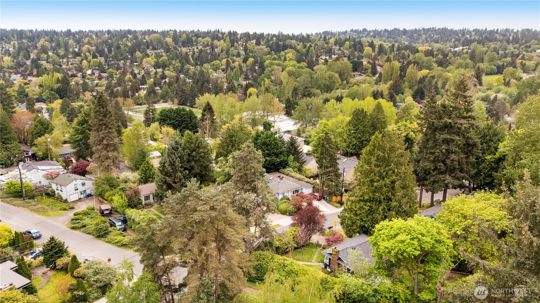 11007 Alton Avenue NE Seattle WA 98125