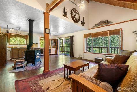 2500 4 Peaks Drive Cougar WA 98616