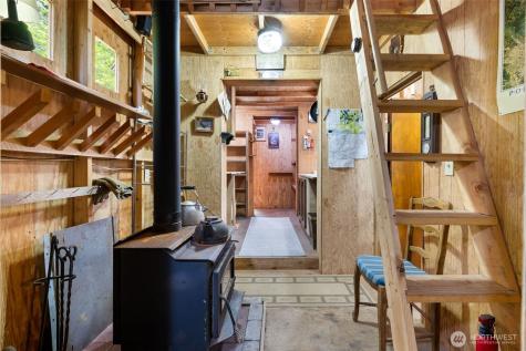 2500 4 Peaks Drive Cougar WA 98616