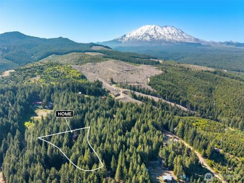 2500 4 Peaks Drive Cougar WA 98616