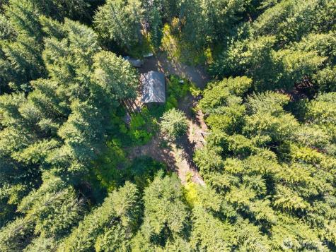 2500 4 Peaks Drive Cougar WA 98616