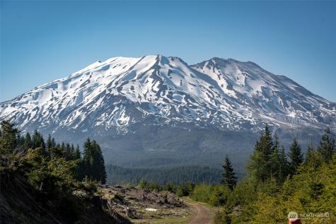 2500 4 Peaks Drive Cougar WA 98616