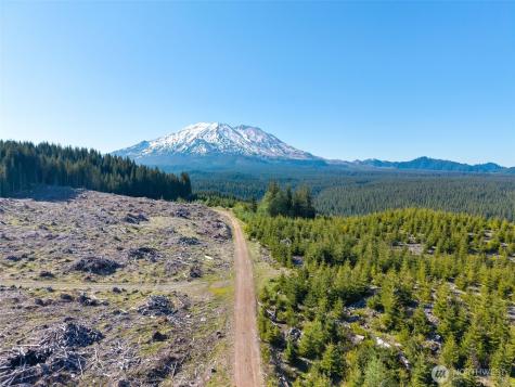 2500 4 Peaks Drive Cougar WA 98616