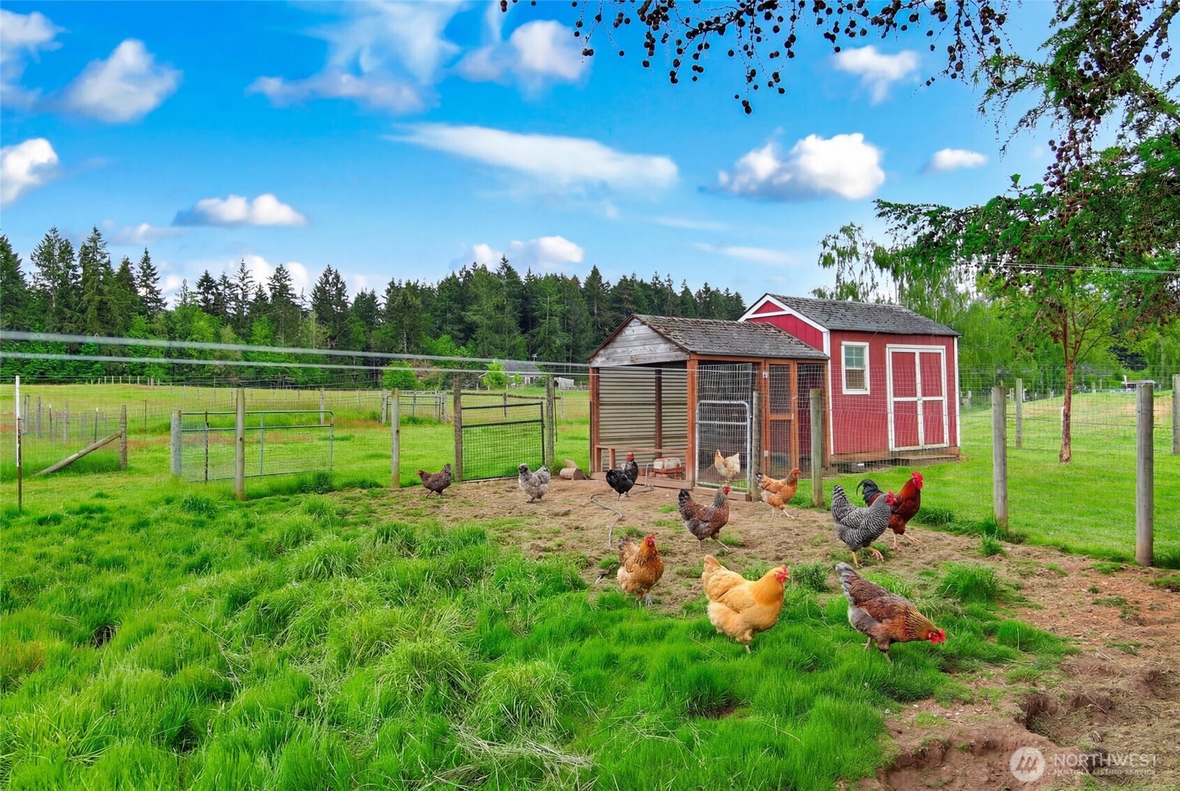 14419 Martinson Road SE Yelm WA 98597
