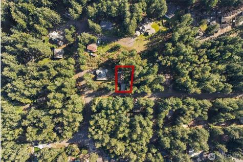 10315 Riviera Drive Anderson Island WA 98303